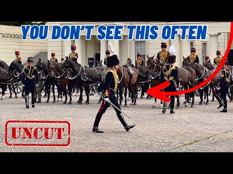 This HIGHLY SKILLED TEAM will leave you speechless!