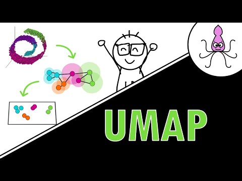 UMAP - simple explanation with an example!