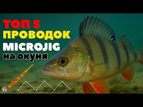 TOP 5 Best Retrieves for Micro Jig - Tips from a World Champion