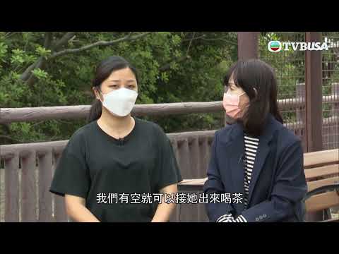 東張西望｜續追出售公屋業權引發的爭產糾紛！原業主陳婆婆報稱遭「奪樓」及軟禁於安老院？｜TVBUSA｜民生