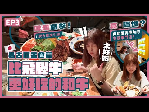 Nagoya Food Guide: Better Beef Than Hida? | Oyster Vending Machine | Secret Dino Park | Japan