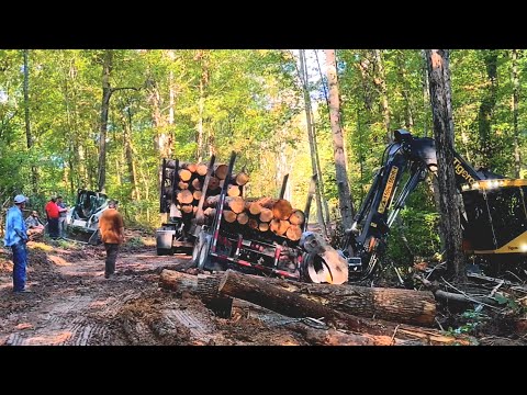 Logging Gone Wrong (Or Right?)