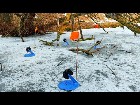 This lake is teeming with pike. Fishing with tip-ups