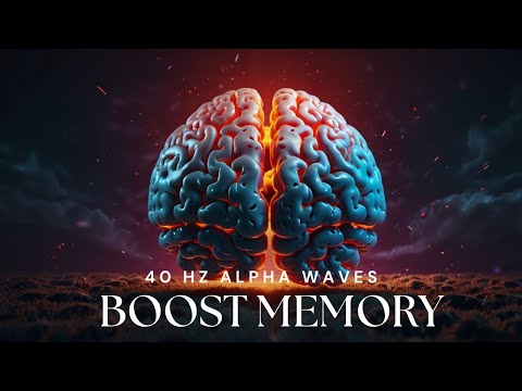 Memory Frequency: Boost Your Short Term Memory | 40 Hz Binaural Beats for Memory Improvement