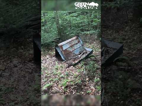 You never know what you’ll find in the woods