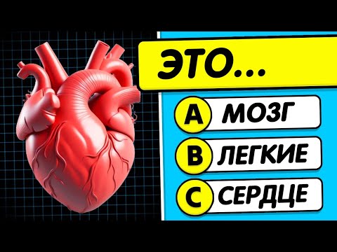 🧠 Human Body Quiz! 🧍💪🧬 General Knowledge Quiz 😏