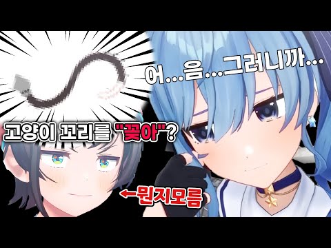 스바루의 순수함을 지켜주고 싶은 스이짱 [ 홀로라이브 / 호시마치 스이세이 / 스바루 / 오카유 ]