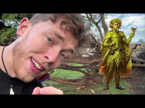 @blumineck Rolls his Ranger Stats!