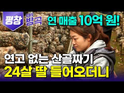 [강원 평창] "철도 없고 한숨만 나온다" 결혼은 모르겠고 버섯이나 키우겠다며 산골 엄마 집 놀러오더니.. 평생 엄마랑 살겠다고 안 떠난다｜#한국기행 #방방곡곡