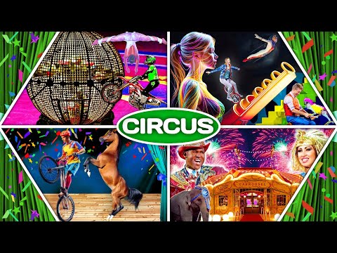 Insane Circus Video 😜 that you need for your Fun & Happiness 👍 Enjoy