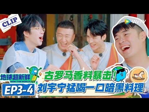 【地球超新鲜】EP3-4：刘宇宁喝“重口味”香料饮料，酸到掉牙还带腥！陈赫尝古罗香料菜，直呼比 “暗器面包” 还难顶！#地球超新鲜 #孙红雷 #李乃文 #陈赫 #刘宇宁 #龚俊 #陈星旭 #王玉雯