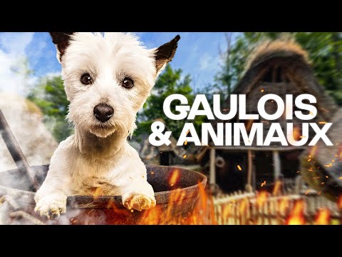 Est-ce que les Gaulois mangeaient du chien ? - Entretien avec Marie-Pierre Roure-Horard