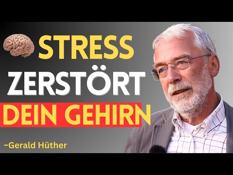 Warum innere Ruhe dein Gehirn heilt 🧠 | Gerald Hüther