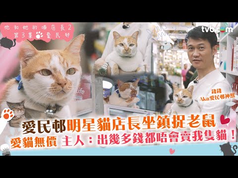 #他和她的喵店長2｜愛民邨貓店長錢錢鬥雞眼勁可愛！主人：幾多錢都唔會賣咗佢  #炎明熹 聲音導航