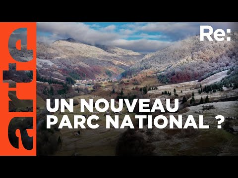 Carpates : Plus grand parc national d‘ Europe ? | ARTE Regards