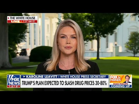 Trump Press Secy COLLAPSES when asked about Trump’s FREE AIRPLANE