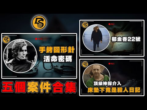 汏叔案件合集丨真實案件丨駭人案件丨真實犯罪丨長視頻丨合集丨案件故事丨