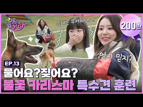 The biggest cowards ever?! Sakura and Eun Chae try training special dogs🐶🔥