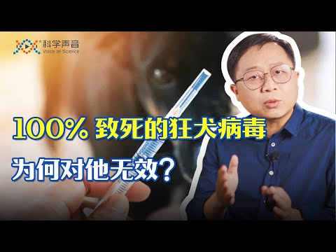 6岁男童被狂犬感染却意外幸存，万中无一的概率，是谁的功劳？