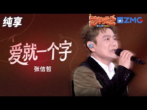 【纯享版】张信哲《爱就一个字》 2025-2026浙江卫视跨年晚会 20251231