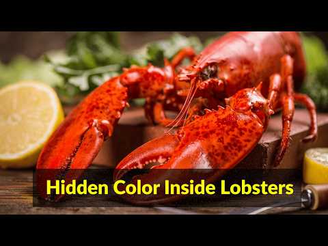 Why Lobsters Change Color When Cooked 🦞 | Food Science