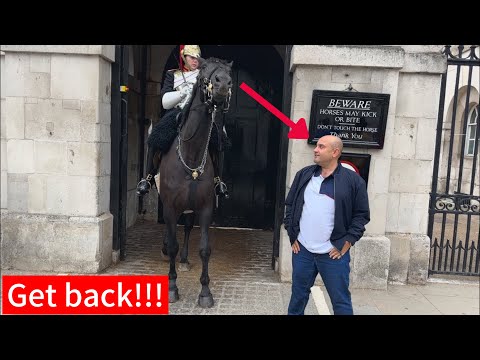 Tourist Refuses Orders, Lady Trooper Forces Him Back with Horse