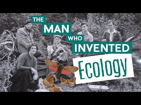 The Man Who Invented Ecology | Wytham Woods