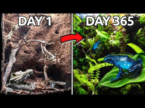 A Year Ago I Made a Rainforest Ecosystem, This Happened