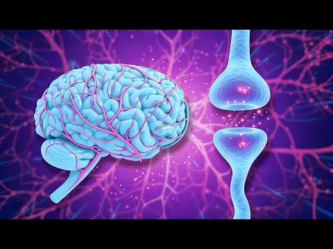 Alpha Waves Activate 100% of Your Brain in 10 Minutes 🧠 INCREASE MEMORY AND CONCENTRATION