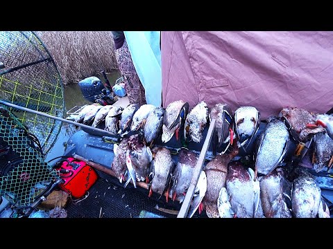 DUCKS LAND RIGHT IN THE BOAT, AND WE HAVE TO SPEND THE NIGHT IN IT! HUNTING IN THE SOUTHERN TUNDR...