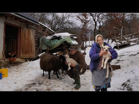 Daily routine of a mother and son high in a mountain village.