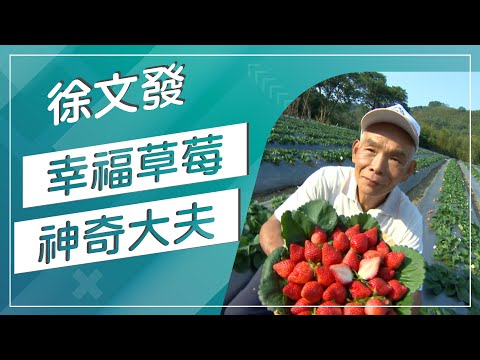 草地狀元-春暖花開幸福達人 幸福草莓VS 愛情可可(20180319播出)careermaster