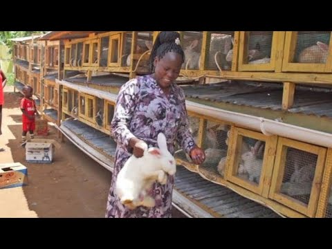 Rabbit Queen | Making the  Million $ EASILY (Rabbit Farming)