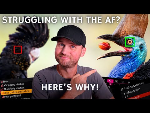 This Will FIX Your AUTOFOCUS STRUGGLES! | Canon, Nikon & Sony!