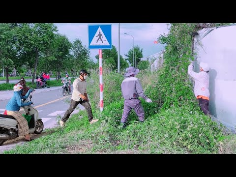 Hue City residents surprised when grass covering the sidewalk at an intersection was cleared