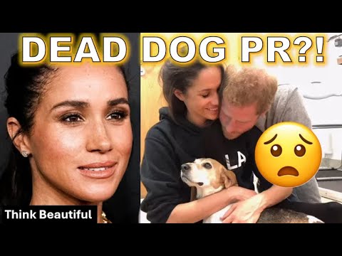 Meghan Markle BUSTED Using Her Dead Dog in a Desperate PR Push | People Magazine EXPOSED!
