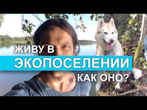 Экопоселение. Стоит ли?