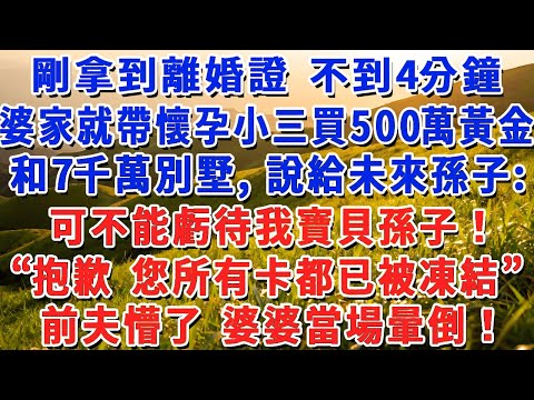 剛拿到離婚證 不到4分鐘,婆家就帶懷孕小三買500萬黃金和7000萬別墅,說給未來孫子:可不能虧待我寶貝孫子!“抱歉 您的所有卡都已被凍結”前夫懵了 婆婆當場暈倒!#小娟講故事 #情感故事 #老年生活
