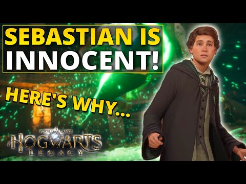 Sebastian Sallow Did ABSOLUTELY NOTHING WRONG | Here's Why