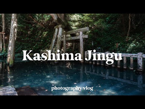 A Day of Photography | Kashima Jingu