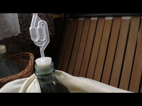 Wine fermentation is complete. What to do next. Common mistakes