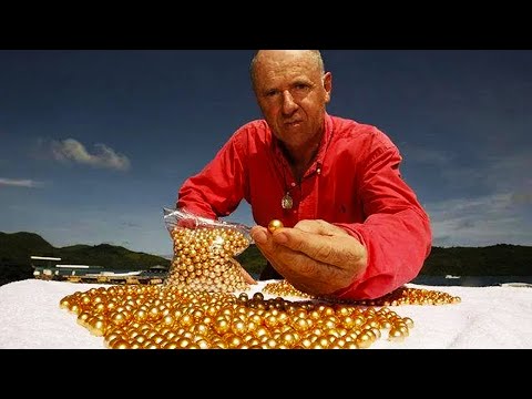 探秘神奇的珍珠养殖技术，在那不起眼的贝壳里竟然藏着价值连城的宝贝，一口气了解数十种种植和养殖秘密