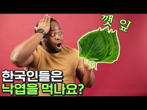 대한민국만 먹는다는 코리안 허브 깻잎