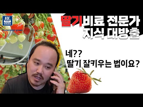 딸기 재배에 꼭 필요한 건 뭐다? 전문가의 지식 대방출! | 농사 100단