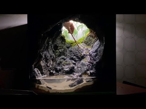 Making a Rainy Cave paludarium