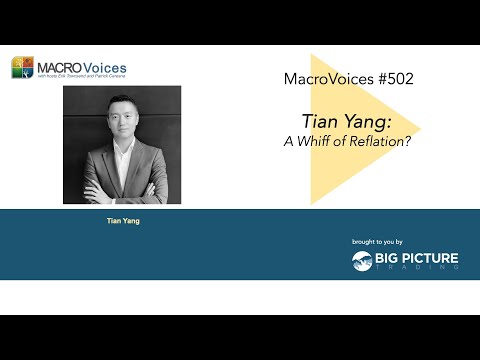 MacroVoices #502 Tian Yang: A Whiff of Reflation?