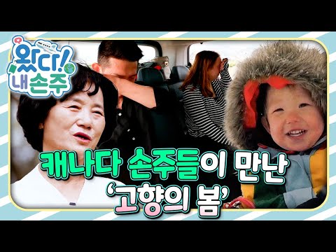 🇨🇦캐나다 손주들이 만난 ’고향의 봄‘｜👵🏻왔다! 내 손주🧓🏻｜국제가정｜조부모｜리얼리티｜EBS키즈｜[EBS놀이터]