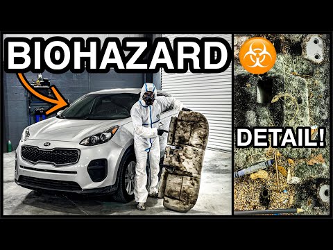 Cleaning an Abandoned BIOHAZARD Repo Car Bought at Auction! | Nastiest Car Detailing Transformation!