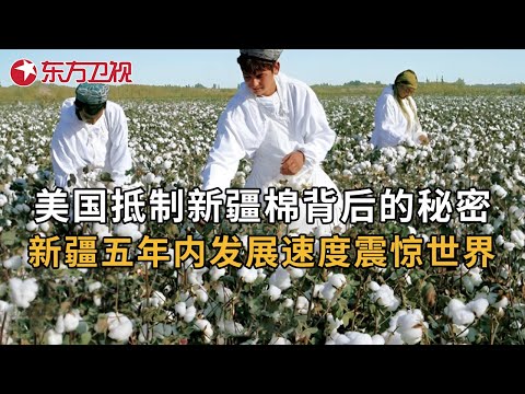 新疆发展速度震惊世界! 美国抵制新疆棉背后有什么秘密阴谋？3年前被封锁的新疆棉如今怎么样了?  #叶尔羌河 第1集｜FULL