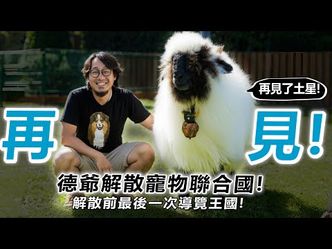 【德爺】再見了笑笑羊!德爺解散寵物聯合國!解散前的最後王國導覽!德爺面臨人生最低潮!落下男兒淚!【許伯簡芝】